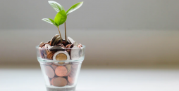 Brasil Pode Gerar 2 Milhões de Empregos Investindo em Economia Sustentável
